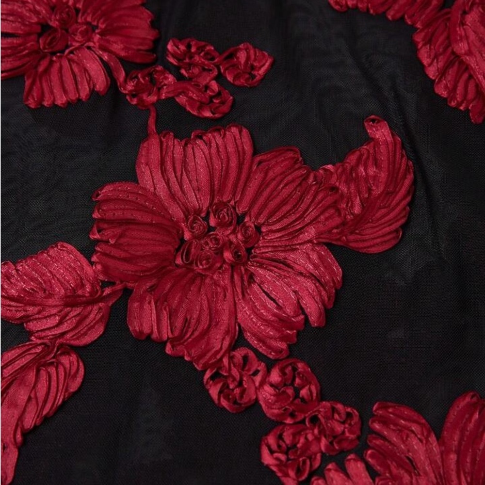 Anewsta Elegant Black and Red Floral Dress - Picture 9 of 14